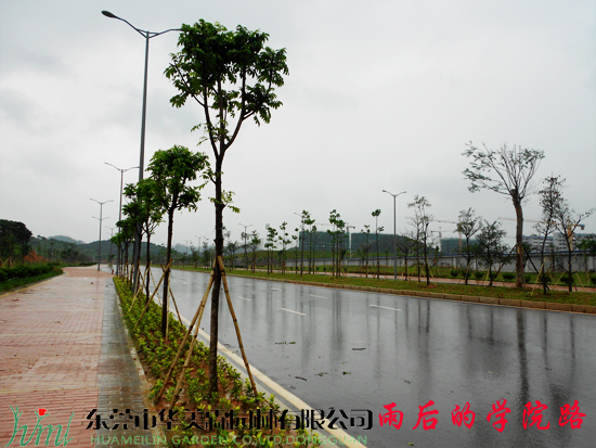 東莞園林綠化工程