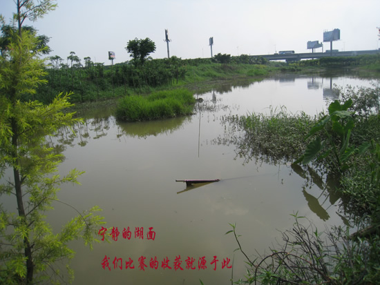 东莞苗木基地小湖