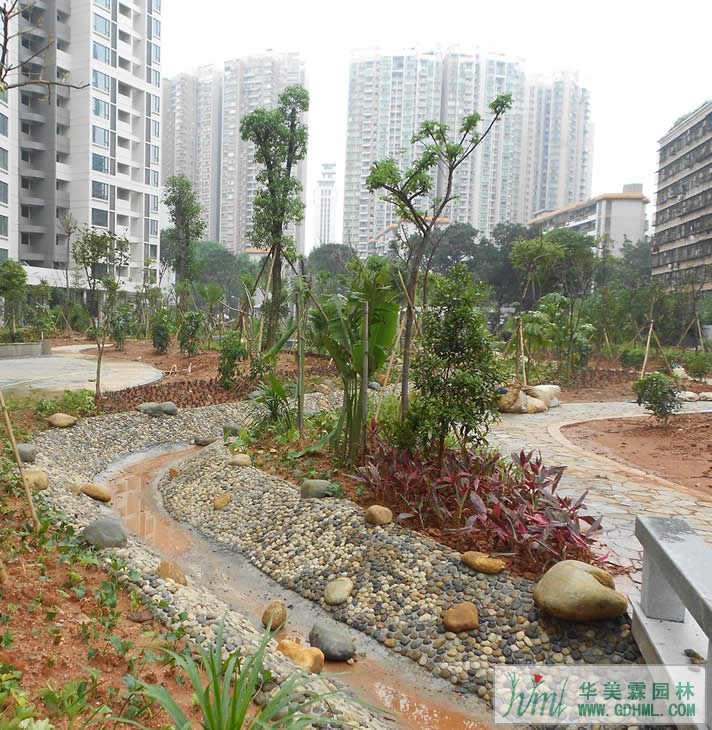 广州空军医院园林绿化工程项目进展神速